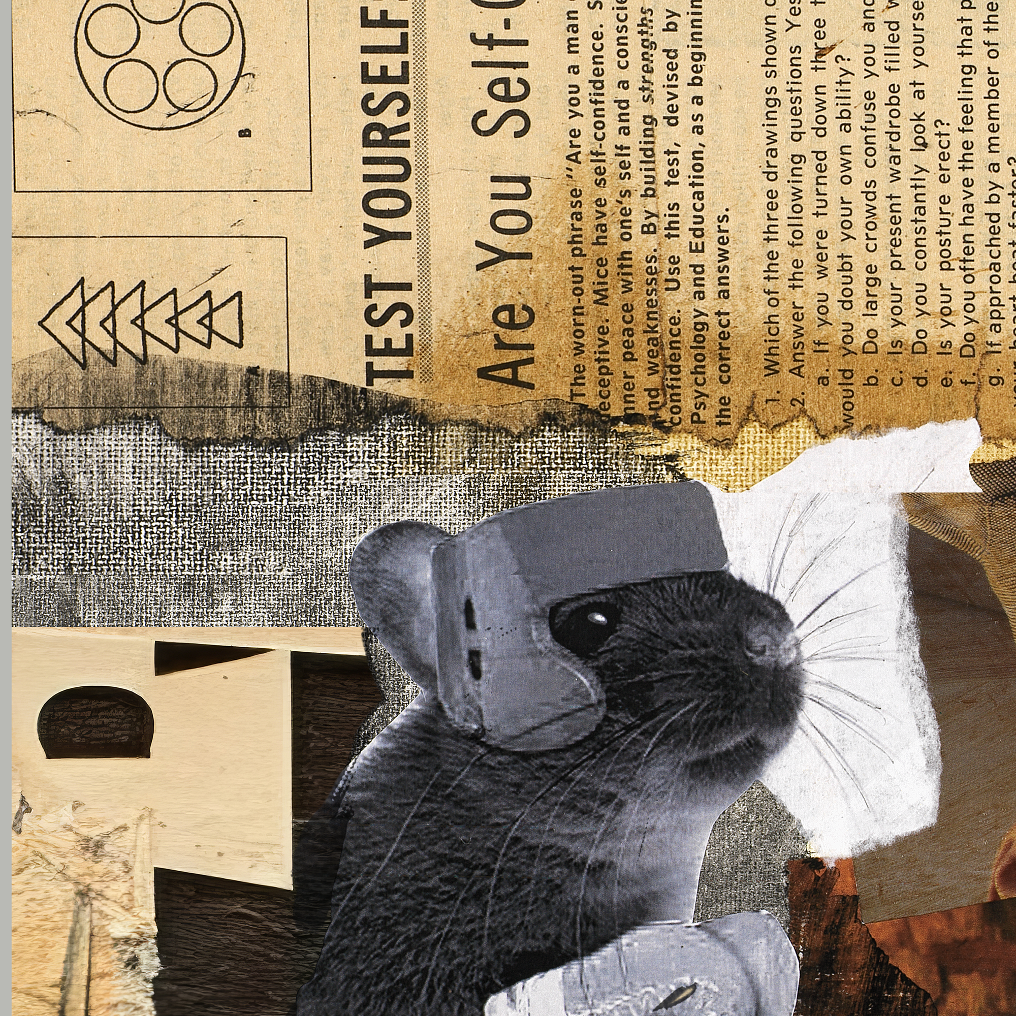 Are You A Man Or A Mouse? <br> Canvas Art Print