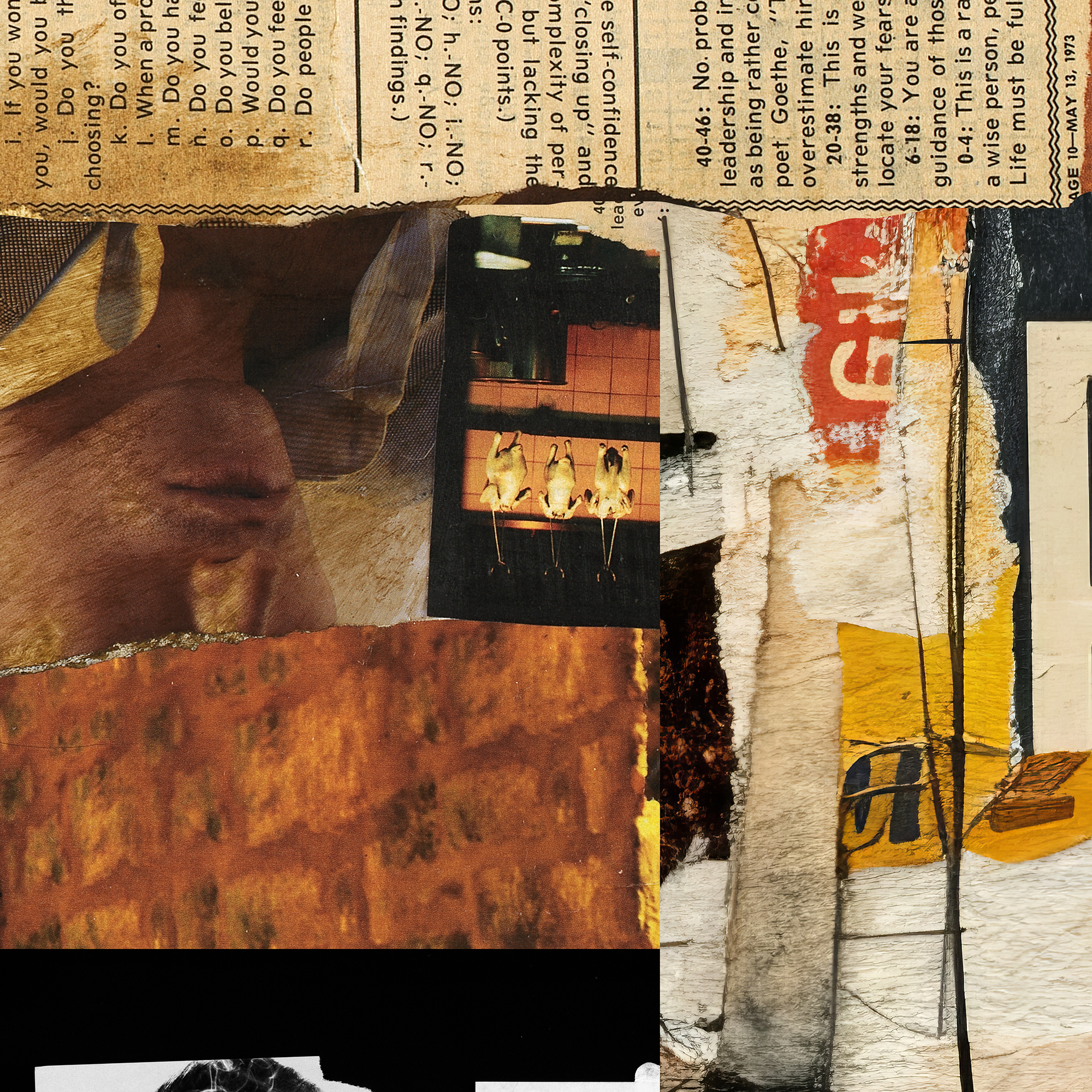 Are You A Man Or A Mouse? <br> Canvas Art Print