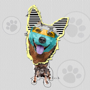 Australian Cattle Dog