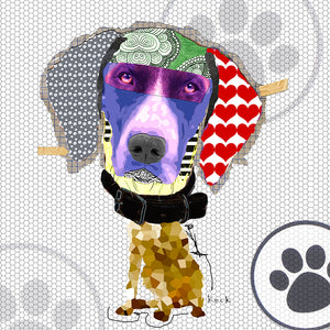 German Short Hair Pointer 