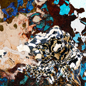 #111701<br>Down The Rabbit Hole Series<br> You Used To Be<br> Much More Muchier <br> Abstract Art Canvas Print