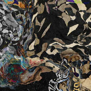 #111705<br> Down The Rabbit Hole Series<br> It Would Be So Nice If Something Made Sense For A Change<br> Abstract Art Canvas Print