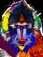 baboon art