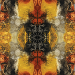 Abstract Art Prints - Echo Collection mirror images abstract art prints