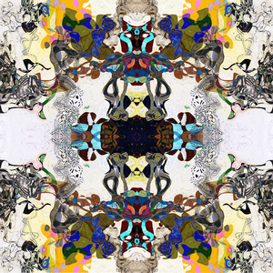 #DCRS1-42 <br> Echo Collection <br>Abstract Art  Canvas Print