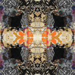 #DCRS1-50 <br> Echo Collection  <br> Abstract Art Canvas Print