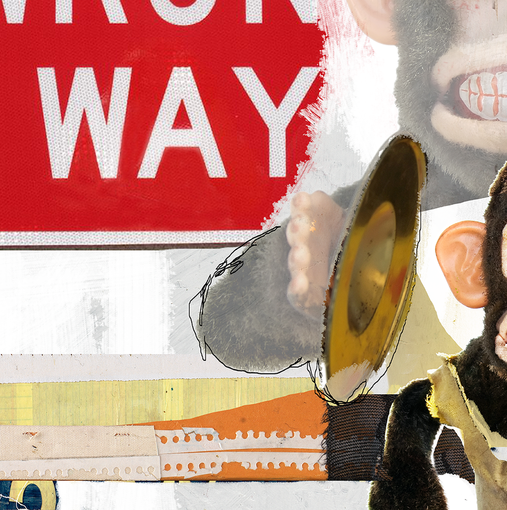 MONKEY CANVAS ART PRINT BY MICHEL KECK